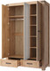 Миниатюра изображения товара Шкаф Anrex Mortiz 3DG2S Z (дуб вотан)