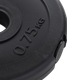 Миниатюра изображения товара Диск для штанги BaseFit BB-203 (0.75кг, черный)