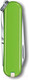 Миниатюра изображения товара Нож складной Victorinox Smashed Avocado 0.6223.43G