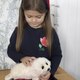 Миниатюра изображения товара Мягкая игрушка Hansa Сreation Белек / 3767