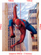 Миниатюра изображения товара Фотообои листовые Arthata Fotooboi-SpiderMan-64 (200x270)