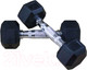 Миниатюра изображения товара Набор гантелей DFC DB001-5 (2шт)