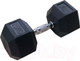 Миниатюра изображения товара Набор гантелей DFC DB001-25 (2шт)