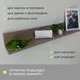Миниатюра изображения товара Полка Элана Анрат ПН 2.48 (дуб трюфель)