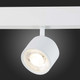 Миниатюра изображения товара Трековый светильник ST Luce Vedo ST353.546.06