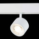 Миниатюра изображения товара Трековый светильник ST Luce Vedo ST353.546.06