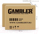 Миниатюра изображения товара Теннисный стол Gambler Dragon / GTS-8 (зеленый)
