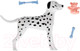 Миниатюра изображения товара Аксессуар для куклы Карапуз Долматинец для Софии / PET-DDA-S-BB