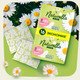 Миниатюра изображения товара Прокладки гигиенические Naturella Ultra Camomile Maxi (64шт)