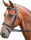 Миниатюра изображения товара Оголовье для лошади Salisbury Bodenham COB / 293/BLACK/COB (черный)