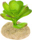 Миниатюра изображения товара Декорация для террариума Terra Della Суккулент / 242/465875 (зеленый)