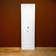Миниатюра изображения товара Зеркало Silver Mirrors Моника 45x150 / ФР-00001406