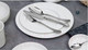 Миниатюра изображения товара Тарелка столовая обеденная Corone Gourmet LQ-QK15174B / фк1408