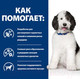 Миниатюра изображения товара Сухой ветеринарный корм для собак Hill's Prescription Diet Urinary Care c/d / 605888 (1.5кг)