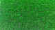 Миниатюра изображения товара Искусственная трава Royal Taft Grass 04_014 (2x7м)