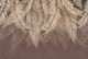 Миниатюра изображения товара Фотообои листовые Vimala Коричневые листья (270x400)