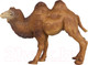 Миниатюра изображения товара Фигурка коллекционная Masai Mara Мир диких животных. Верблюд / MM211-104