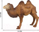 Миниатюра изображения товара Фигурка коллекционная Masai Mara Мир диких животных. Верблюд / MM211-104