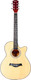 Миниатюра изображения товара Акустическая гитара Belucci BC4010 N (натуральный)