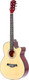 Миниатюра изображения товара Акустическая гитара Belucci BC4010 N (натуральный)