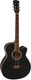 Миниатюра изображения товара Акустическая гитара Elitaro E4020 BK (черный)