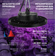 Миниатюра изображения товара Светильник для растений ЭРА FITO-50W-RB-LED-UFO / Б0053280