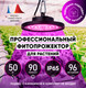 Миниатюра изображения товара Светильник для растений ЭРА FITO-50W-RB-LED-UFO / Б0053280