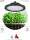 Миниатюра изображения товара Светильник для растений ЭРА FITO-50W-RB-LED-UFO / Б0053280