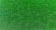 Миниатюра изображения товара Искусственная трава Royal Taft Grass 04_014 (1x2м)