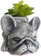 Миниатюра изображения товара Кашпо Нашы майстры Бульдог / 1166 (серый)