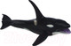Миниатюра изображения товара Фигурка коллекционная Masai Mara Мир морских животных. Касатка / MM213-303