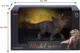 Миниатюра изображения товара Фигурка игровая Masai Mara Мир динозавров. Трицератопс / MM216-054
