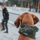 Миниатюра изображения товара Шарф для животных HUNTER Scarf Nancy 78см / 66805 (зеленый)