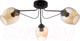 Миниатюра изображения товара Люстра Aitin-Pro НПБ N4208/3