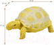 Миниатюра изображения товара Фигурка коллекционная Masai Mara Мир диких животных. Египетская черепаха / MM218-374