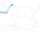 Миниатюра изображения товара Ошейник HUNTER Collar Convenience / 63153 (55/M-L, бирюзовый)
