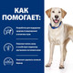 Миниатюра изображения товара Сухой ветеринарный корм для собак Hill's Prescription Diet Food Sensitivities d/d Duck&Rice / 605841 (4кг)