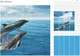 Миниатюра изображения товара Панель ПВХ КронаПласт Unique Дельфины (2700x250x8мм)