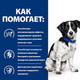 Миниатюра изображения товара Сухой ветеринарный корм для собак Hill's Prescription Diet Digestive Care i/d Stress Mini (1кг)