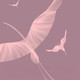 Миниатюра изображения товара Фотообои листовые Citydecor Perfect Lines 10 (100х260)