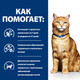 Миниатюра изображения товара Влажный корм для кошек Hill's Prescription Diet c/d Multicare Feline with Chicken (85г)