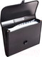 Миниатюра изображения товара Папка-портфель inФормат NL6275-13 (черный)