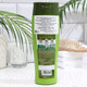 Миниатюра изображения товара Шампунь для волос Dabur Vatika Henna / 1865379 (400мл)