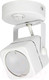 Миниатюра изображения товара Спот Fametto Sotto DLC-S613 / UL-00009423
