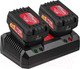 Миниатюра изображения товара Зарядное устройство для электроинструмента Wortex FC 2115-2 ALL1 (0329182)
