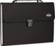 Миниатюра изображения товара Папка-портфель Berlingo Standard / MF2305 (черный)
