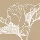 Миниатюра изображения товара Фотообои листовые Citydecor Perfect Lines 3 (300x150)
