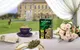 Миниатюра изображения товара Чай листовой Richard Royal Green / 610651 (90г)