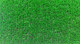 Миниатюра изображения товара Искусственная трава Royal Taft Grass 04_014 (1x9.5м)