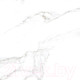Миниатюра изображения товара Плитка Gracia Ceramica Carrara Premium White PG 01 (600x600)